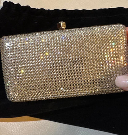 Swaroski silver clutch